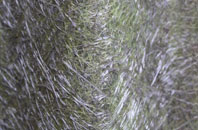 Blaenporth fibreglass roof work